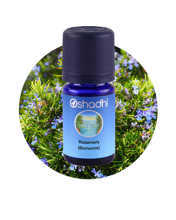 Rosemary, Borneone *Clearance