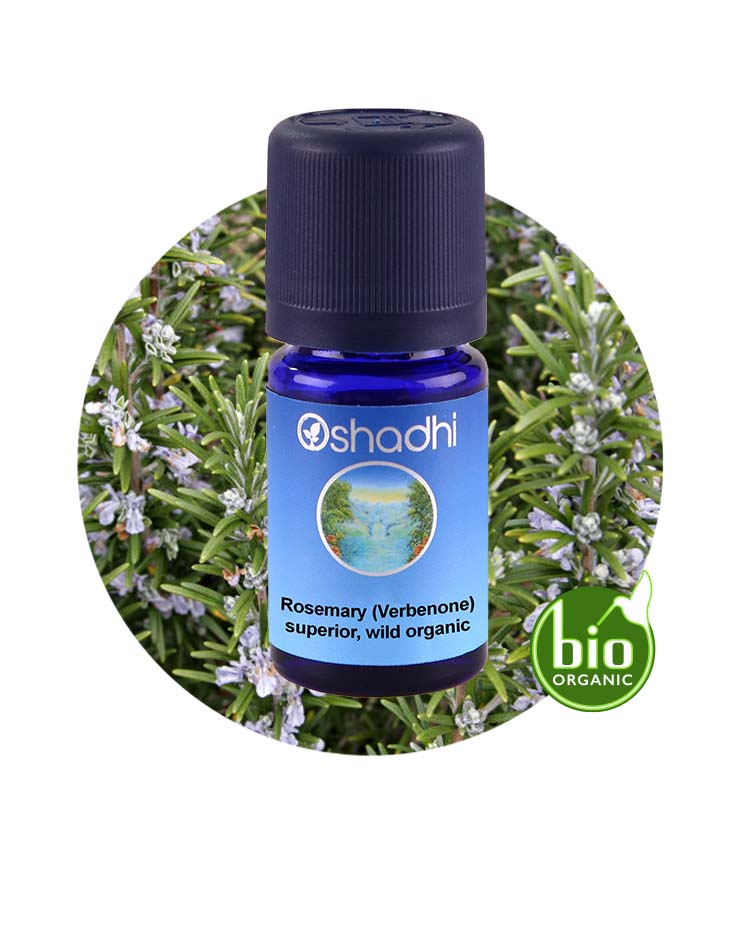 Rosemary, Verbenone, Superior (Wild Organic)