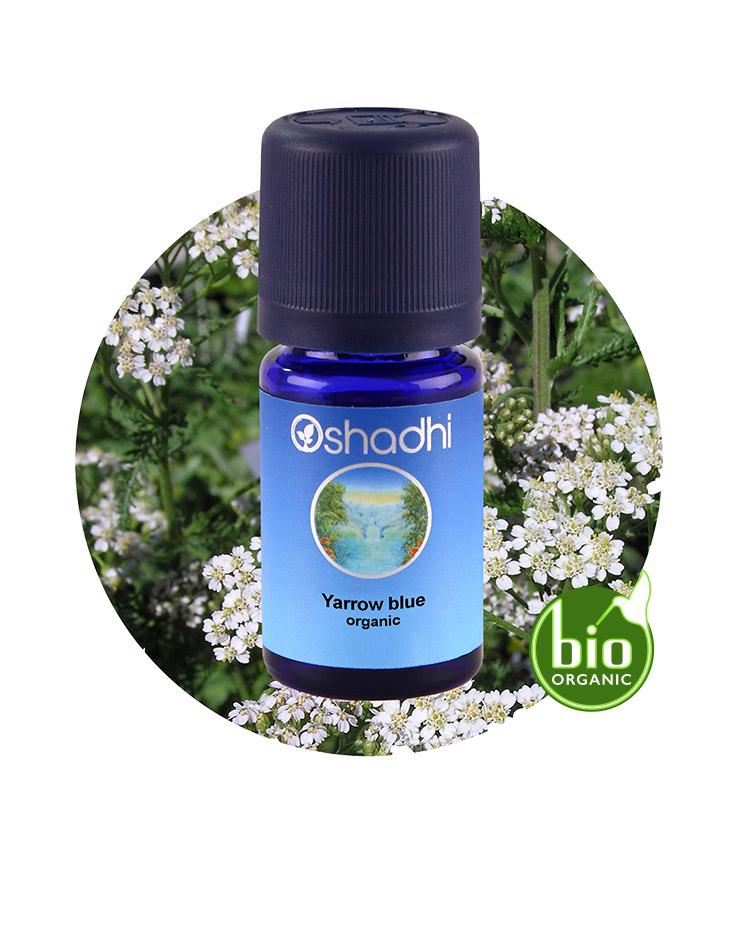 Yarrow, Blue (organic)