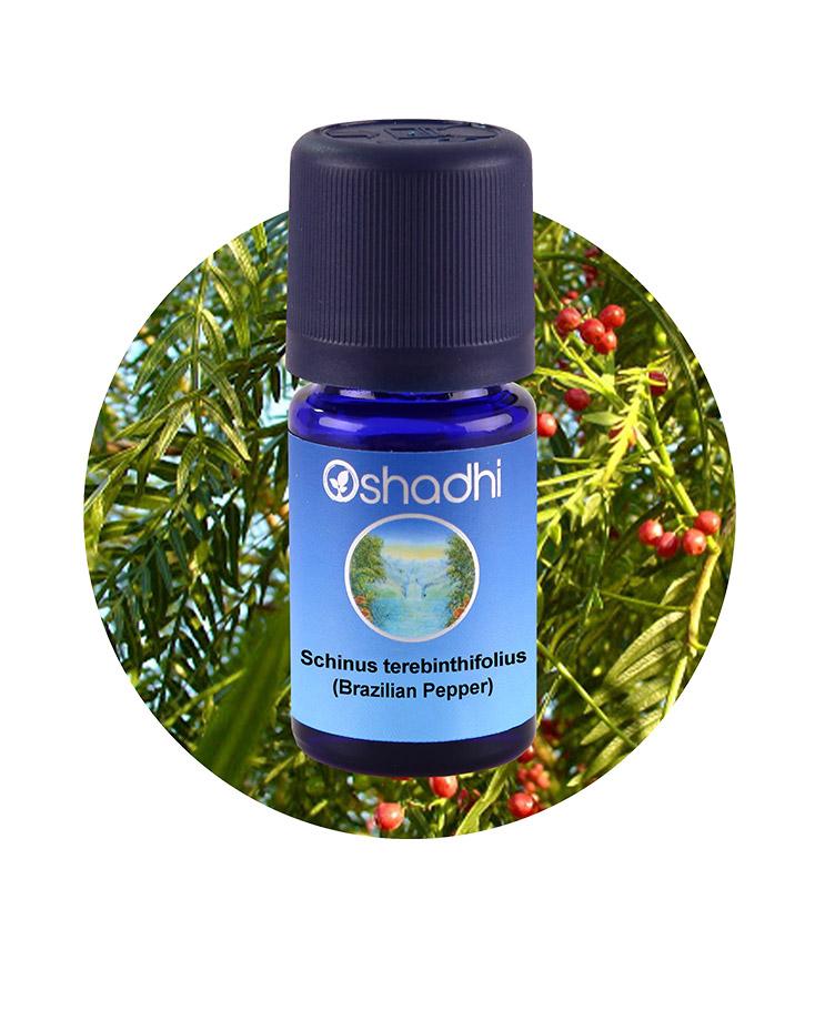 Pepper, Pink (Brazilian Pepper) *Clearance