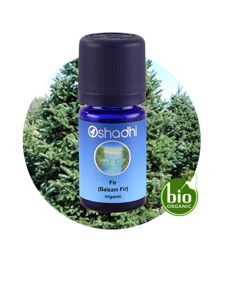 Fir, Balsam (organic)