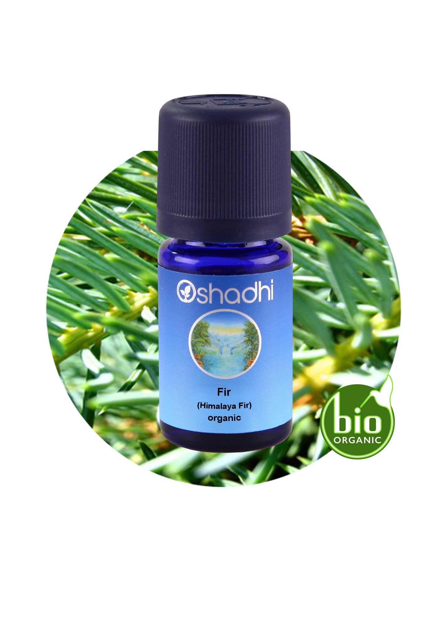 Fir, Himalaya (organic)