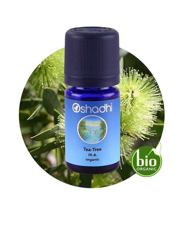 Tea Tree, M.A. / Melaleuca alternifolia (organic)