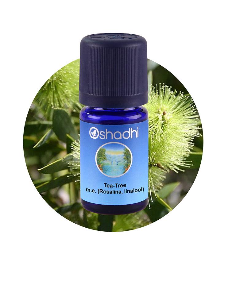 Tea Tree, M.E. (Rosalina, linalool) / Melaleuca ericifolia