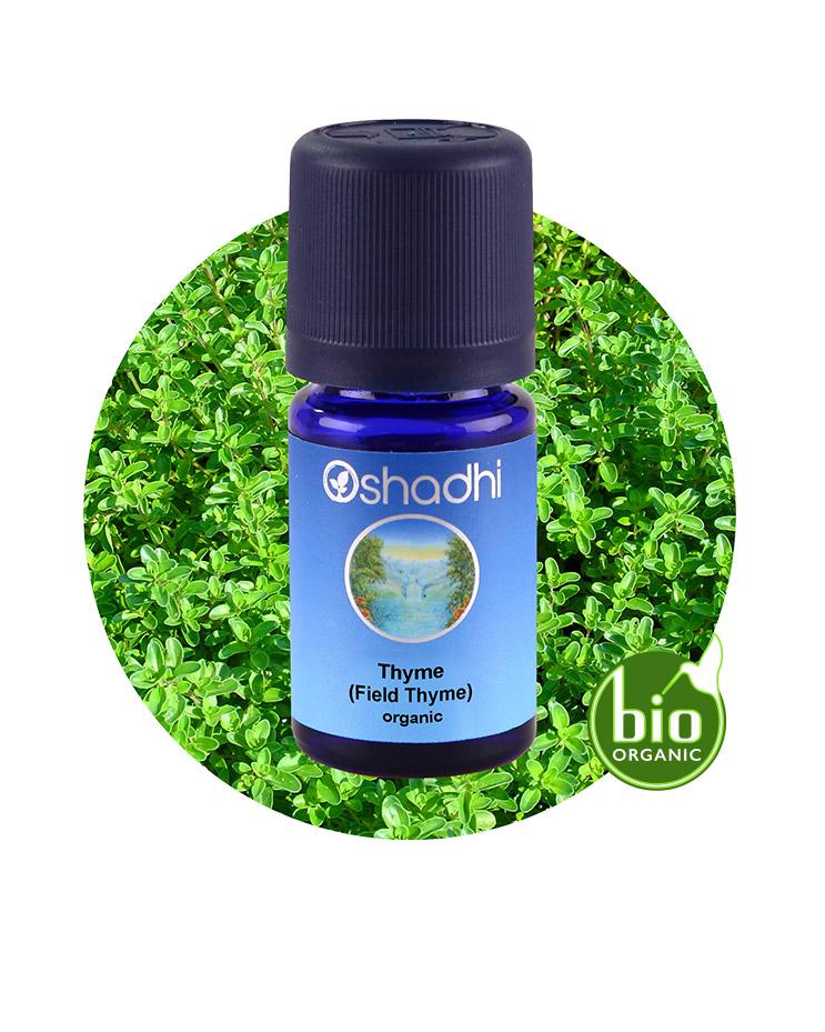 Thyme, Field (organic)