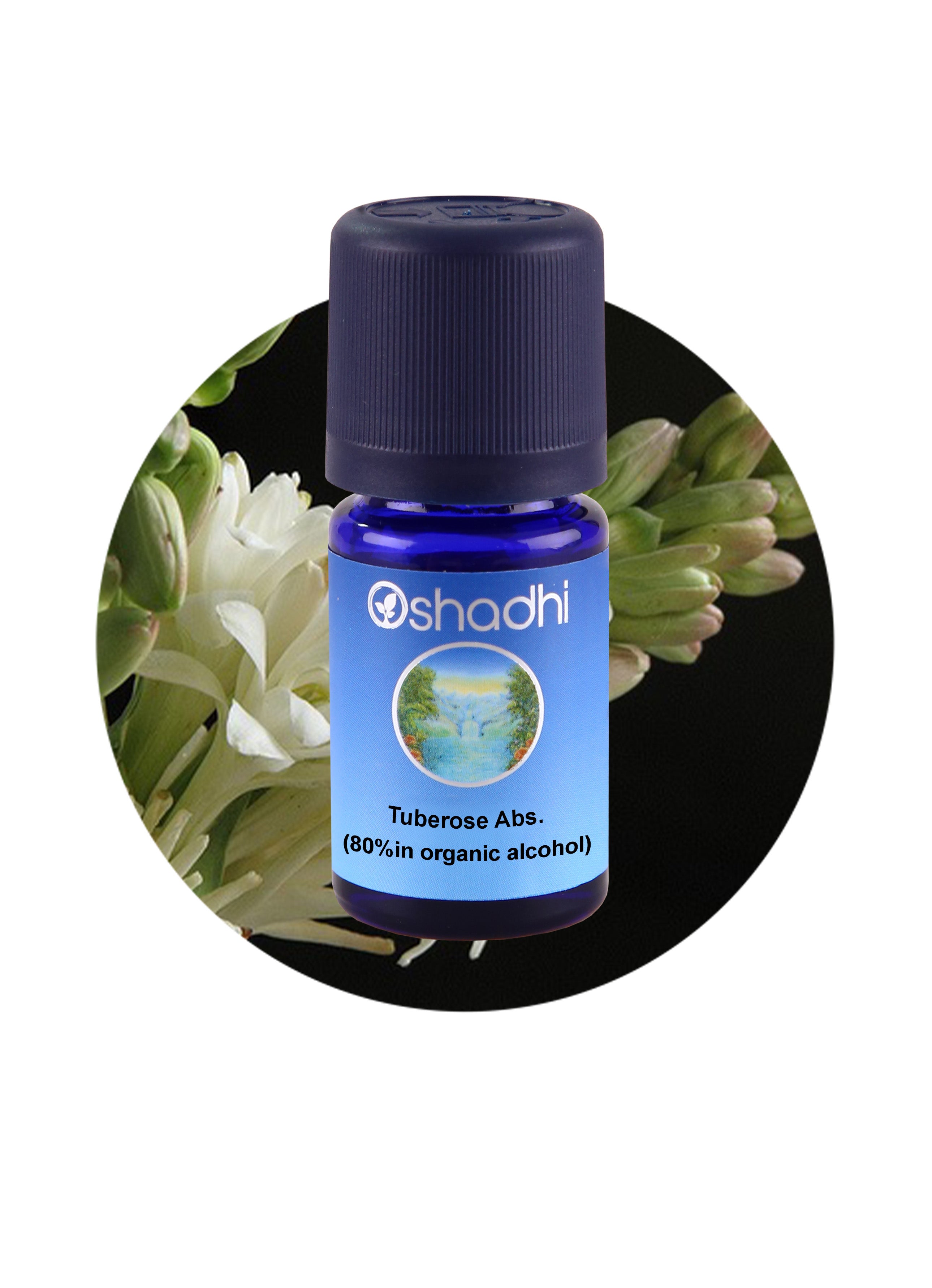 Tuberose, abs. 80% (in organic alcohol) Essential Oil Aroma – Oshadhi Essential  Oils