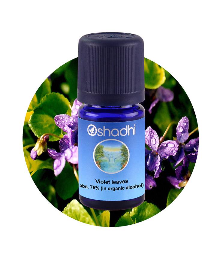 Violet Leaves, ABS. 75% (in Organic Alcohol) Essential Oil Aroma