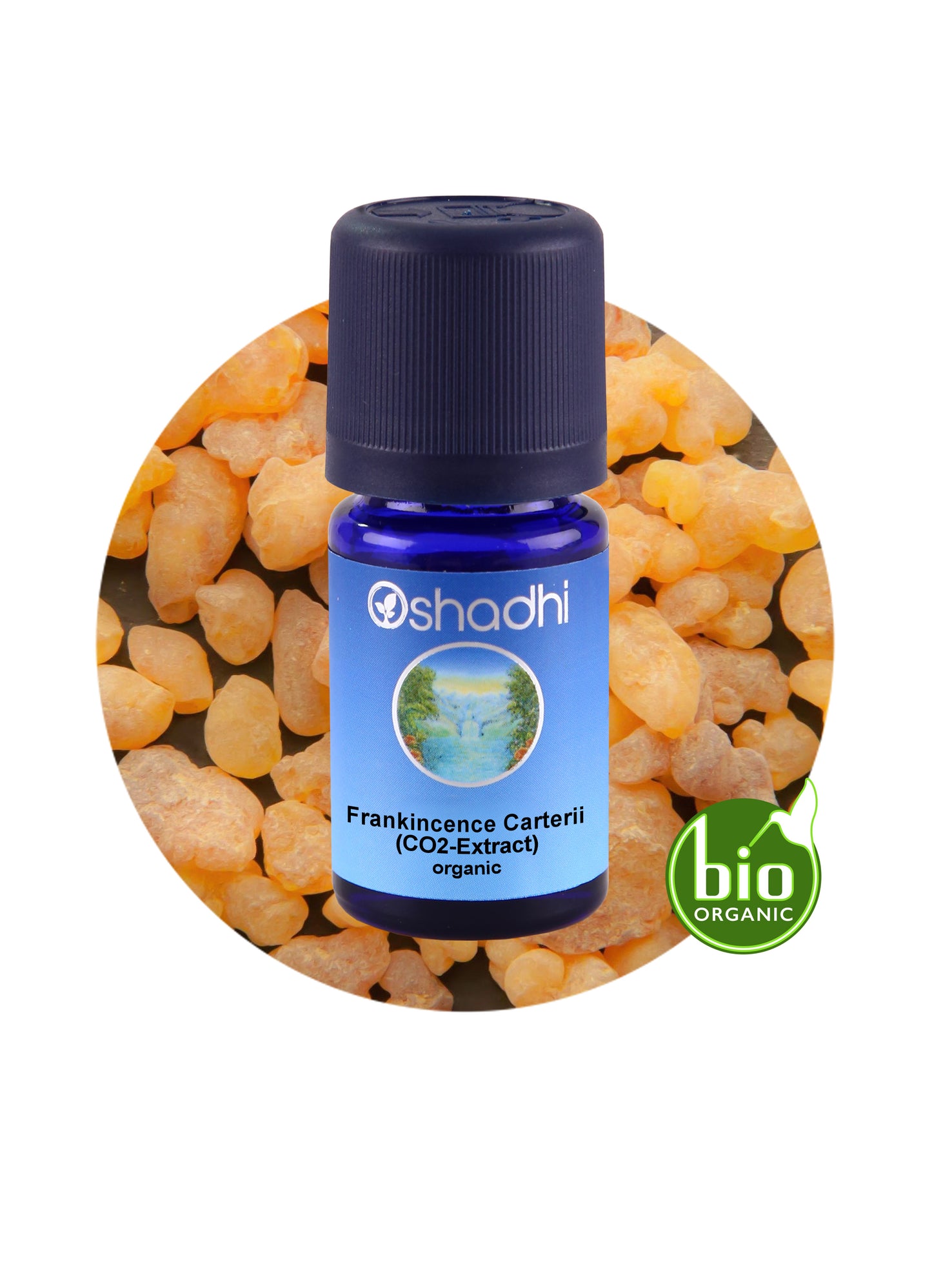Frankincense, Carterii, CO2-Extract (organic)