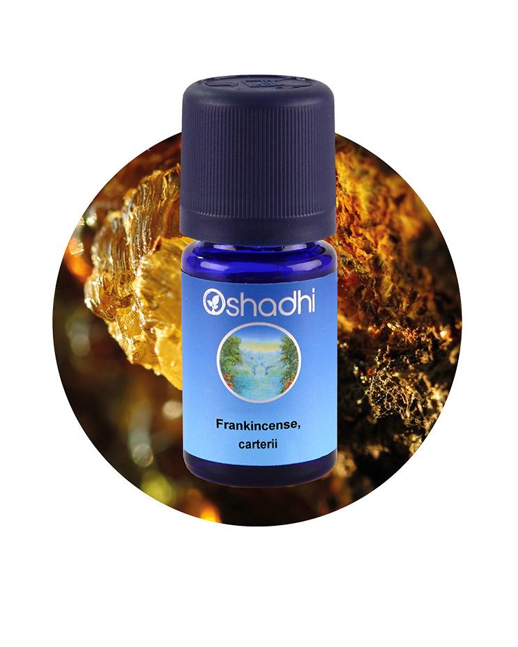 Frankincense, Carterii