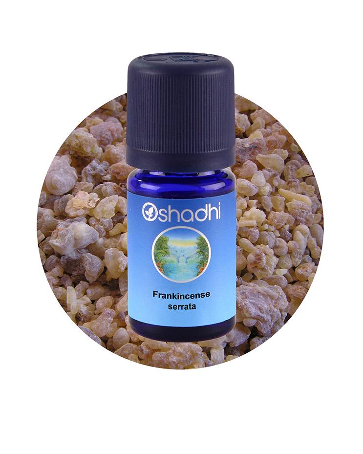 Frankincense, Serrata