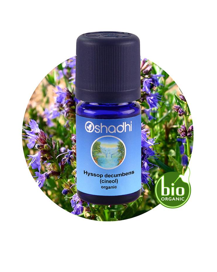 Hyssop Decumbens, Cineol (Organic)