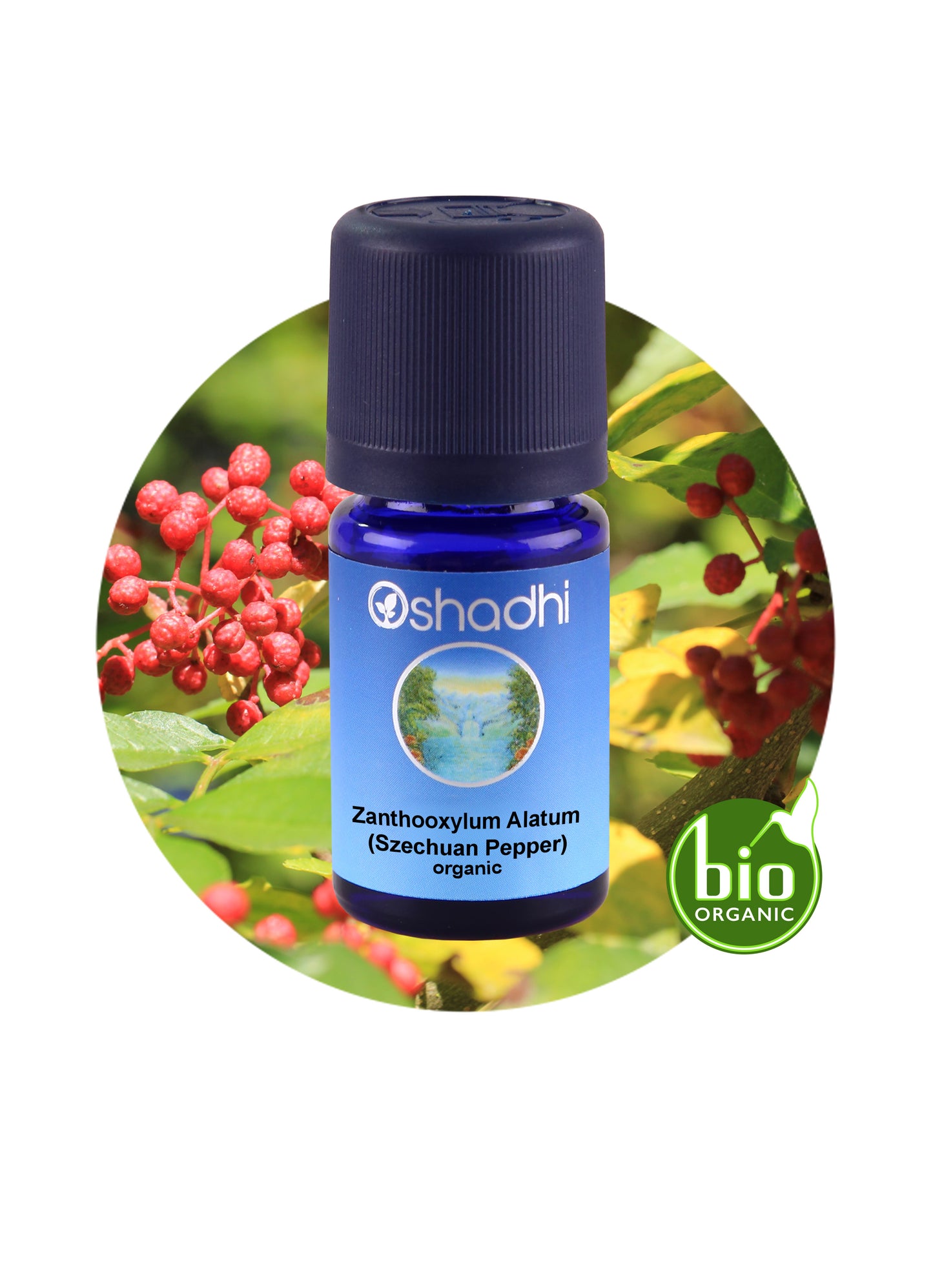 Pepper, Szechuan / Zanthoxylum alatum (organic)