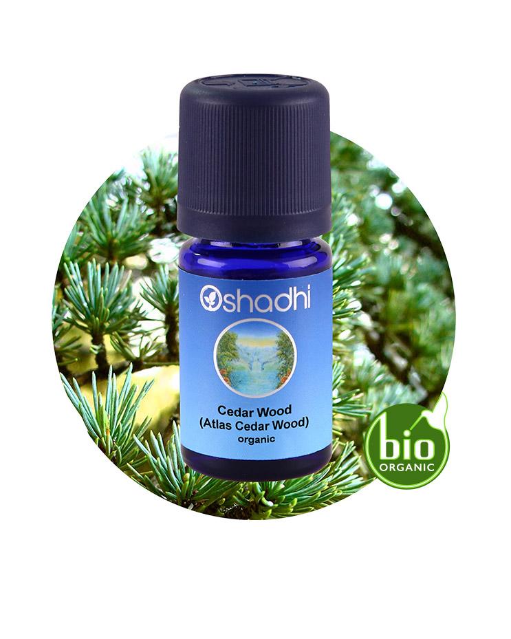Cedar Wood (Atlas Cedar Wood) organic Essential Oil – 100% Pure & Organic
