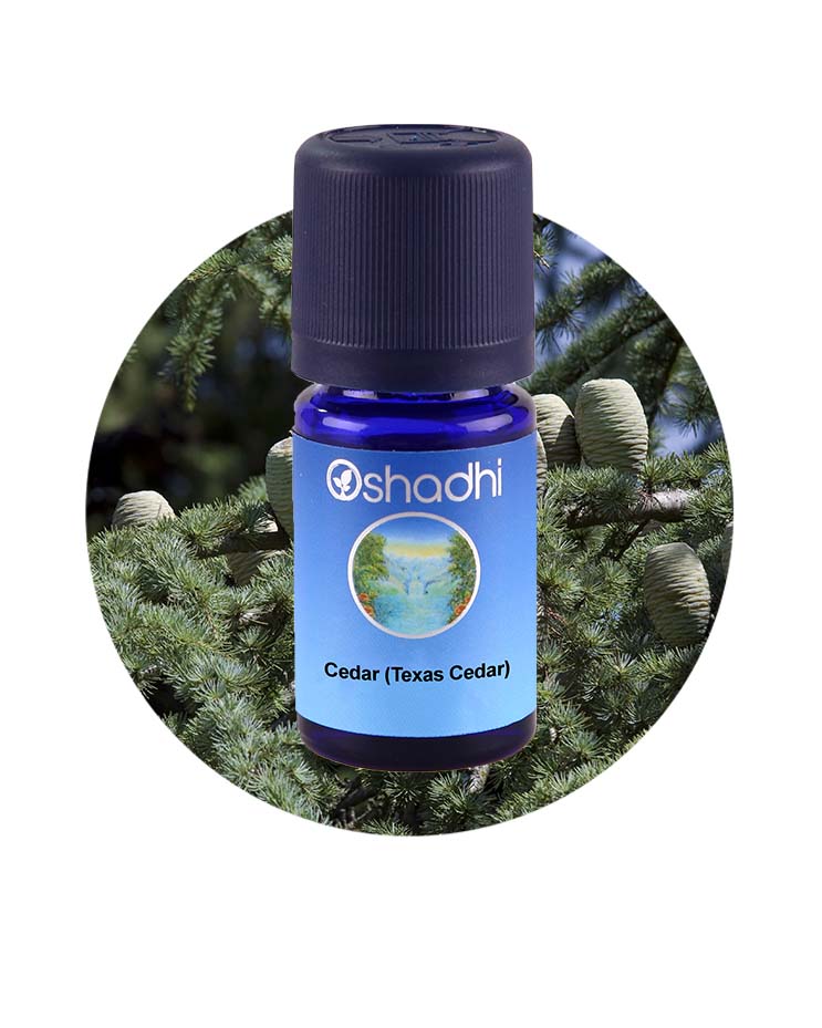 Texas Cedar Oil