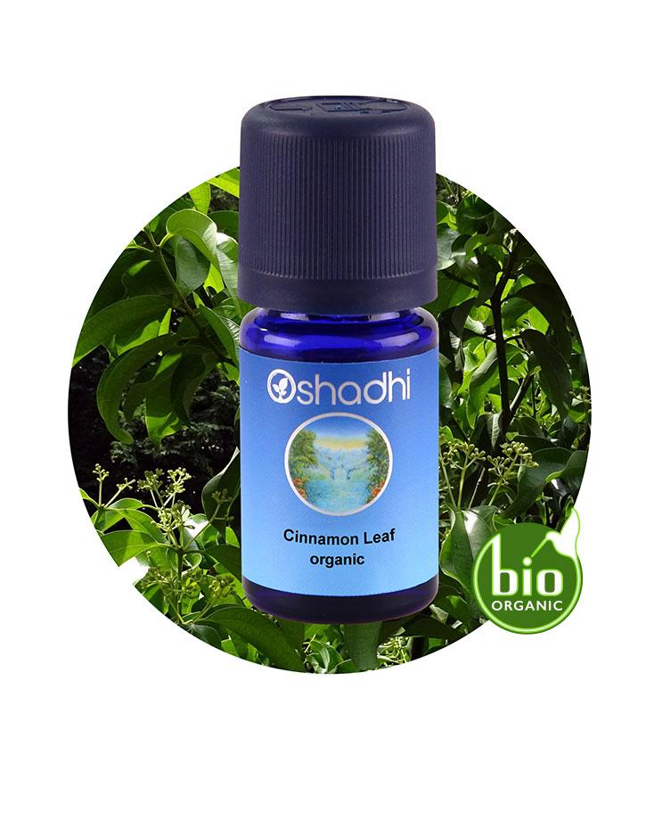 Cinnamon Leaf (organic) *Clearance