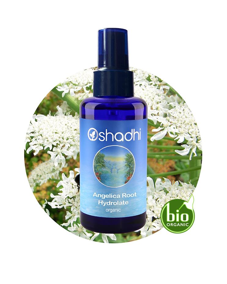 Angelica Root Water (Organic Hydrosol)