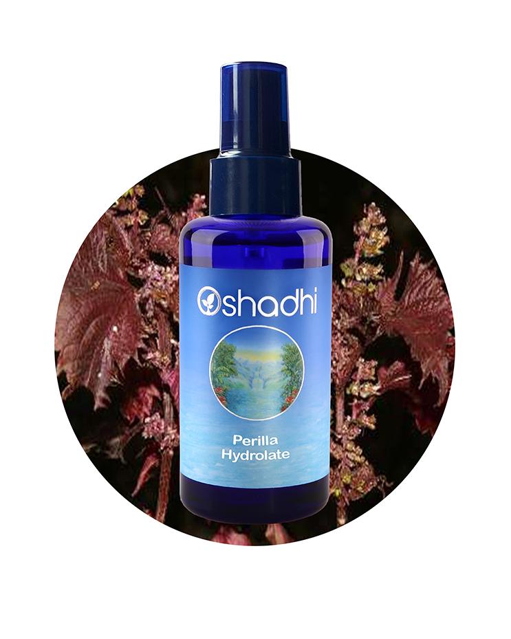 Perilla Water (Organic Hydrosol)