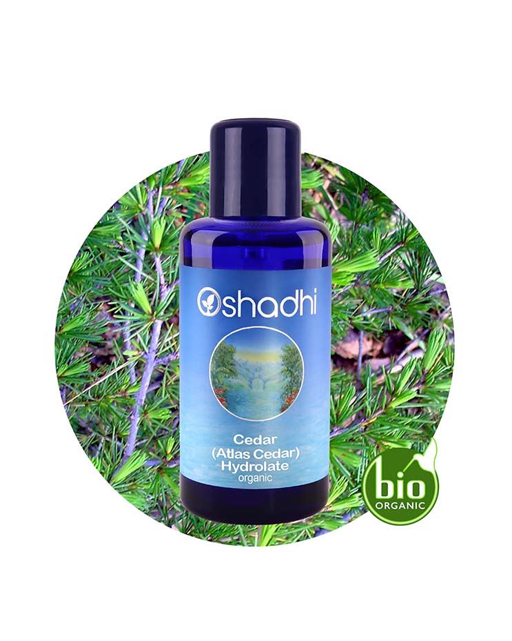 Atlas Cedar Water (Organic Hydrosol)