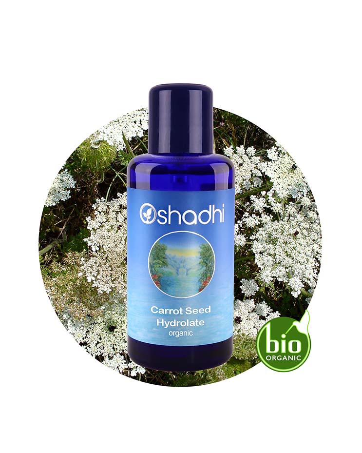 Carrot Seed Water (Organic Hydrosol)