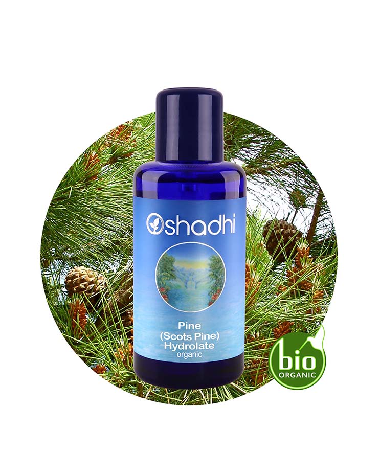 Scots Pine Water (Organic Hydrosol)
