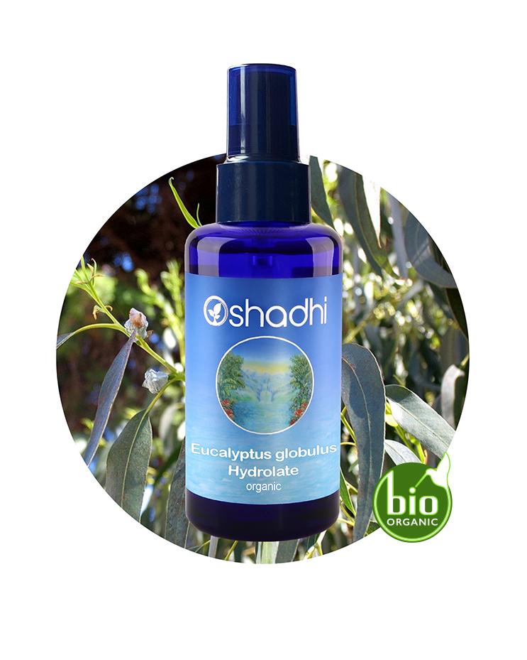 Eucalyptus Globulus Water (Organic Hydrosol)