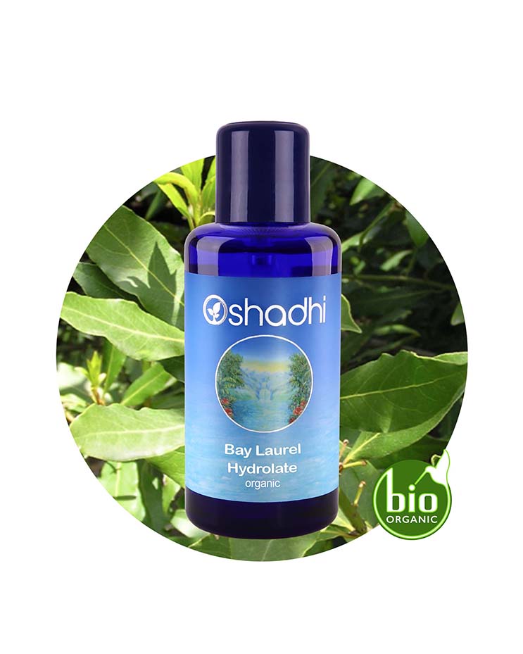 Bay Laurel Water (Organic Hydrosol)