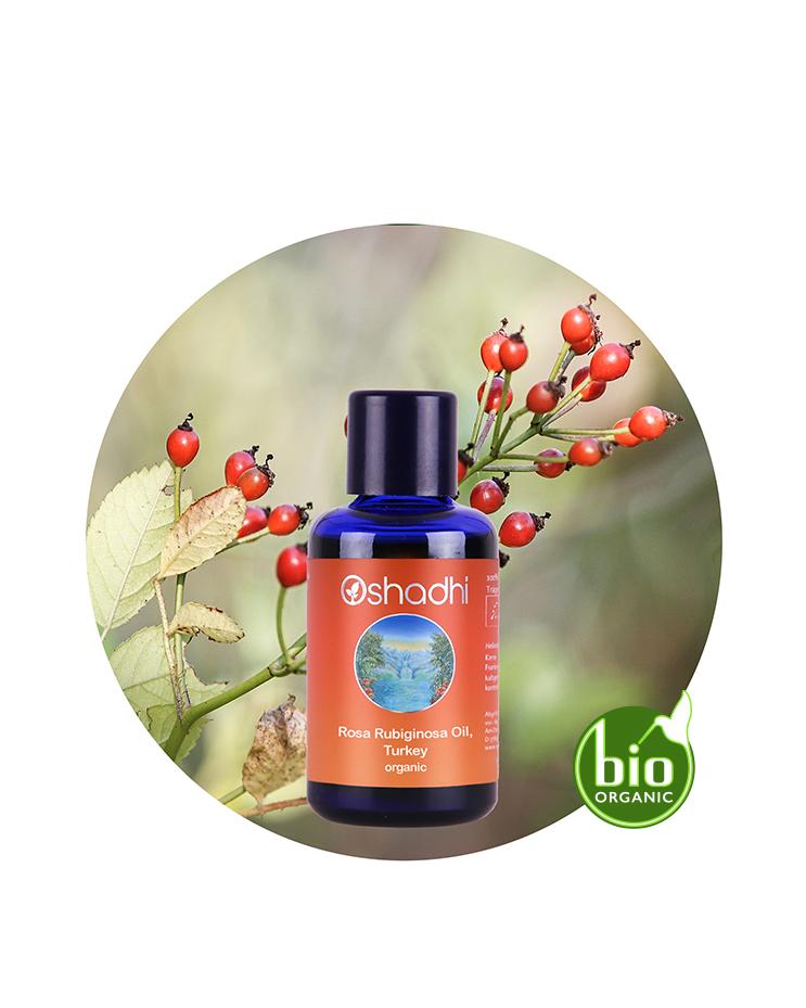 Rosehip Seed Oil / Rosa Rubignosa (Organic)