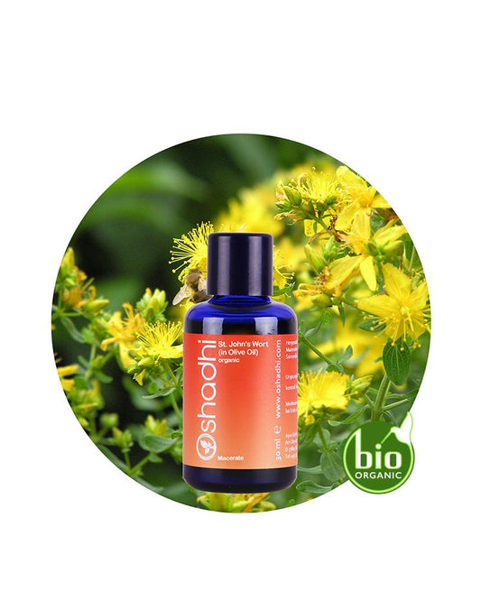 St. John's Wort Macerate (organic)