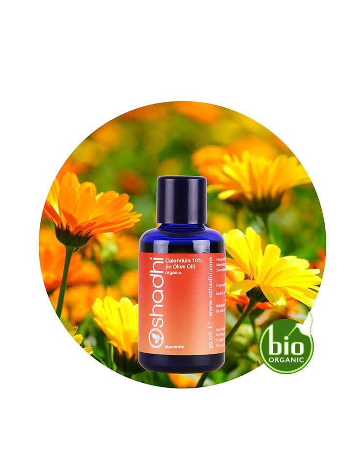 Calendula Macerate (organic)