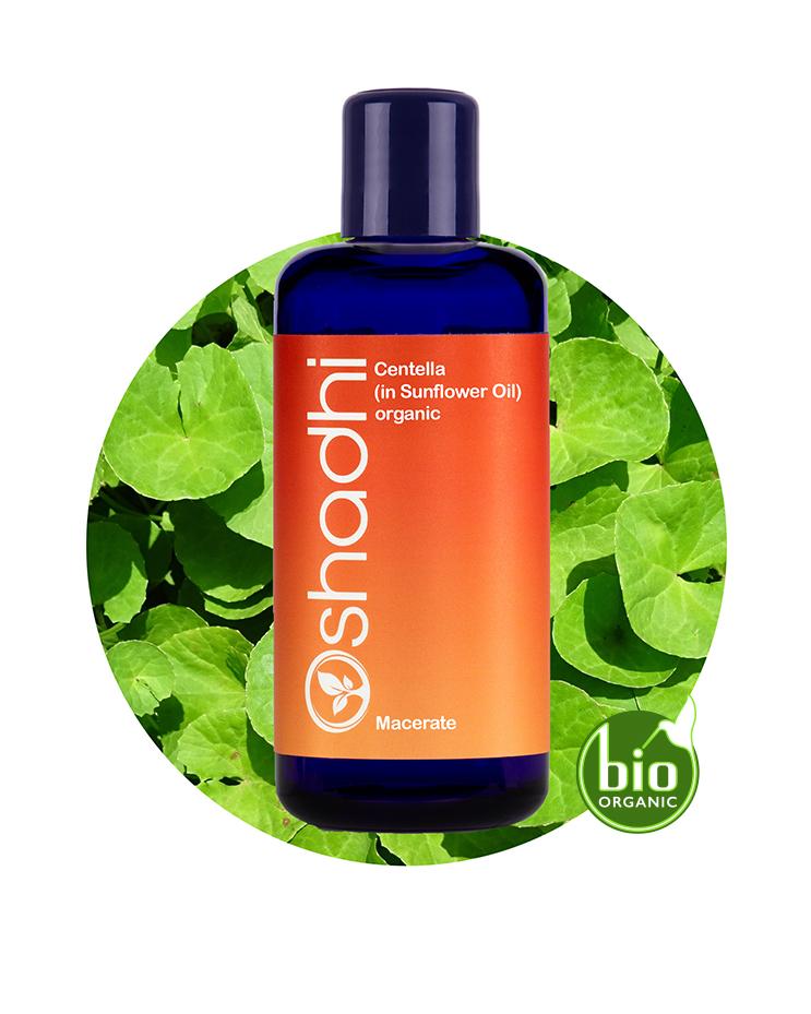 Centella / Gotu Kola Macerate (organic)
