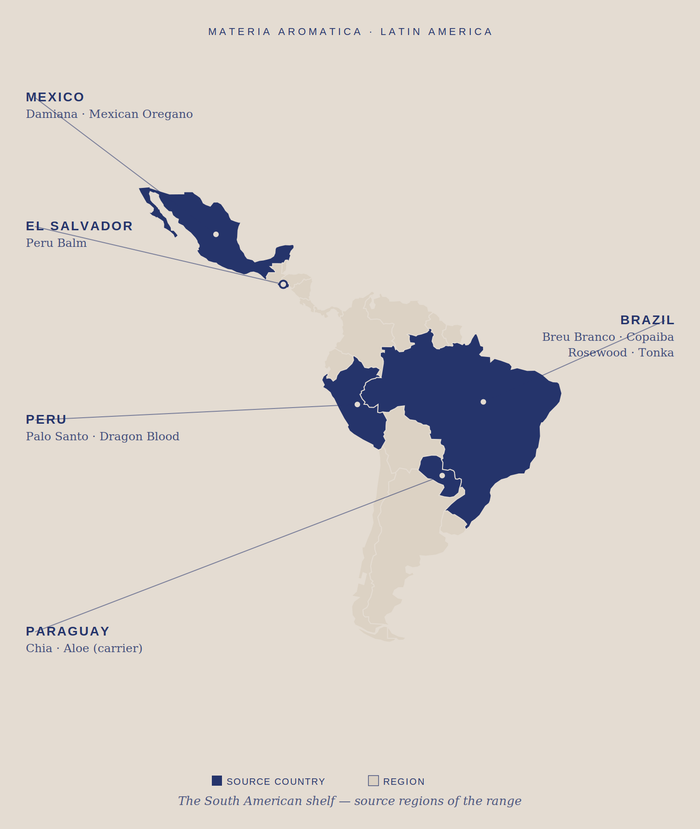 South America