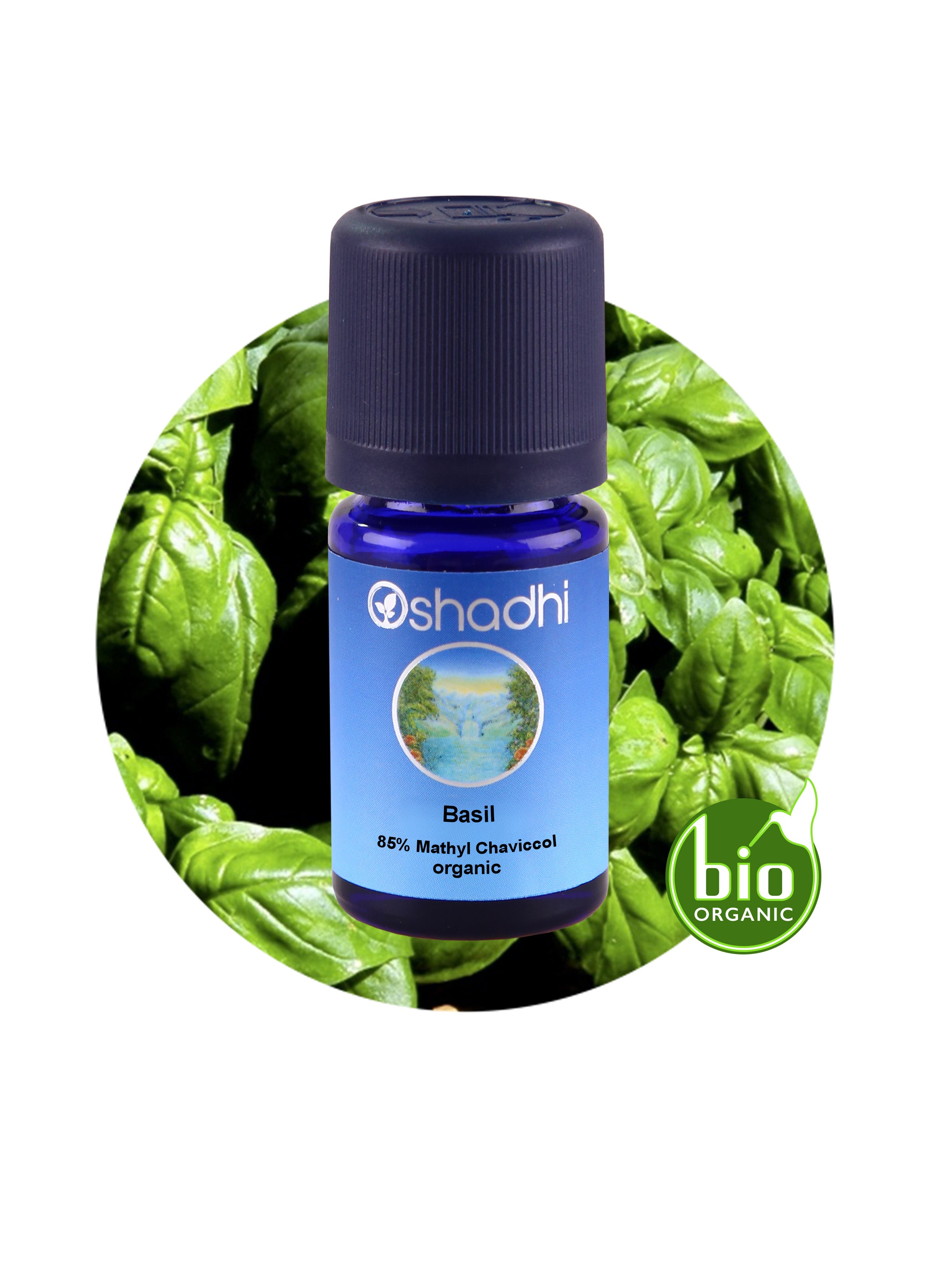 Basil app. 85 Methyl chavicol organic Essential Oil Aroma