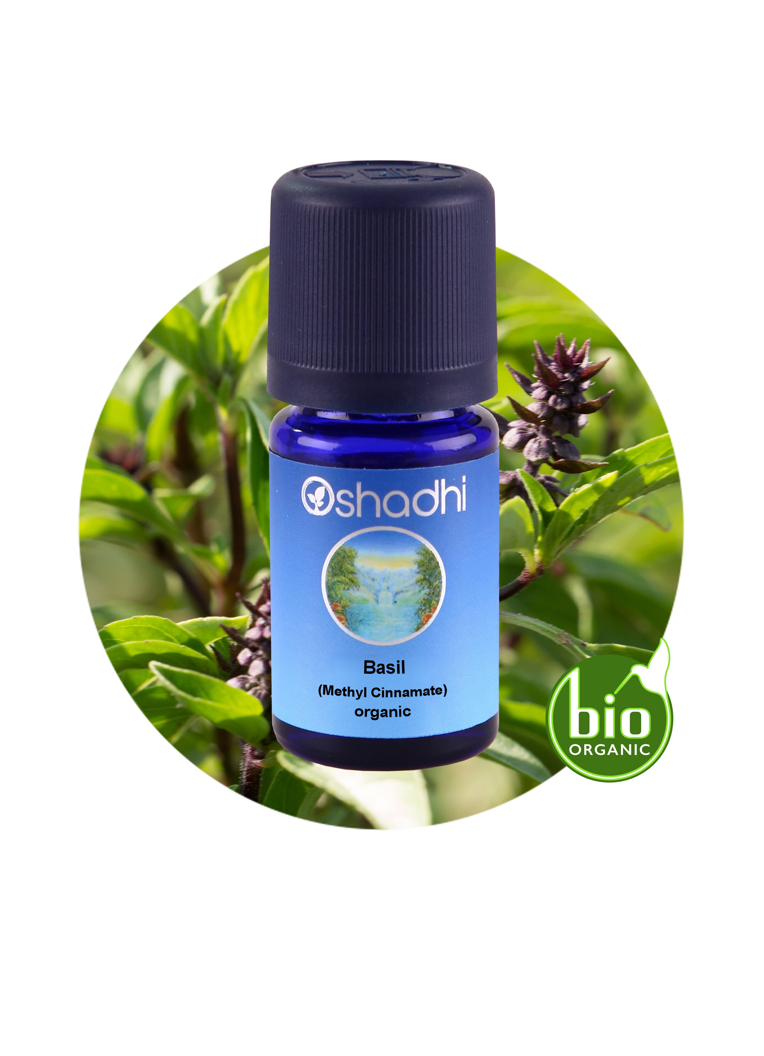 Basil Methyl cinnamate organic Essential Oil Aroma Oshadhi