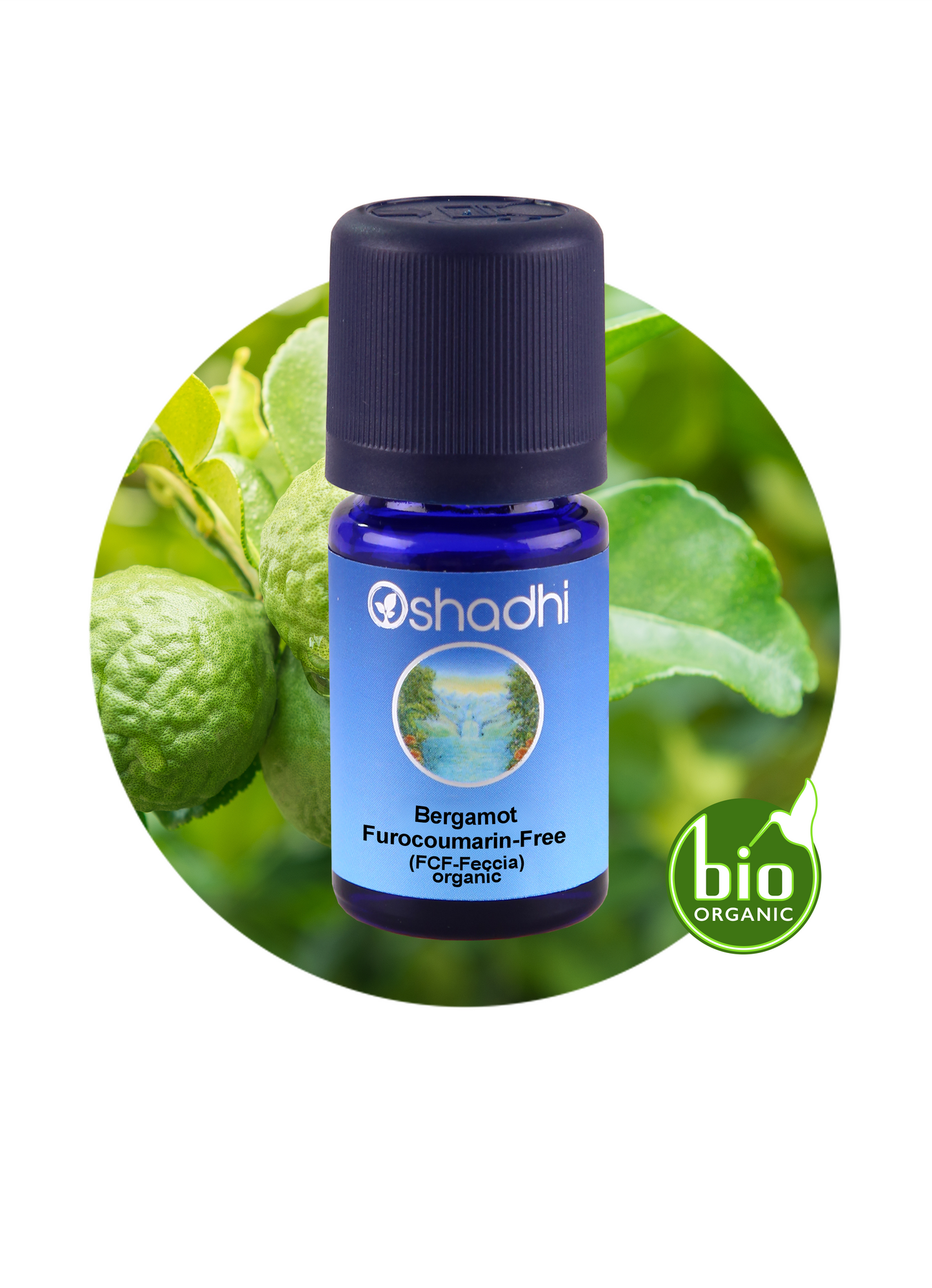 Bergamot Furocoumarin-Free Feccia (organic)