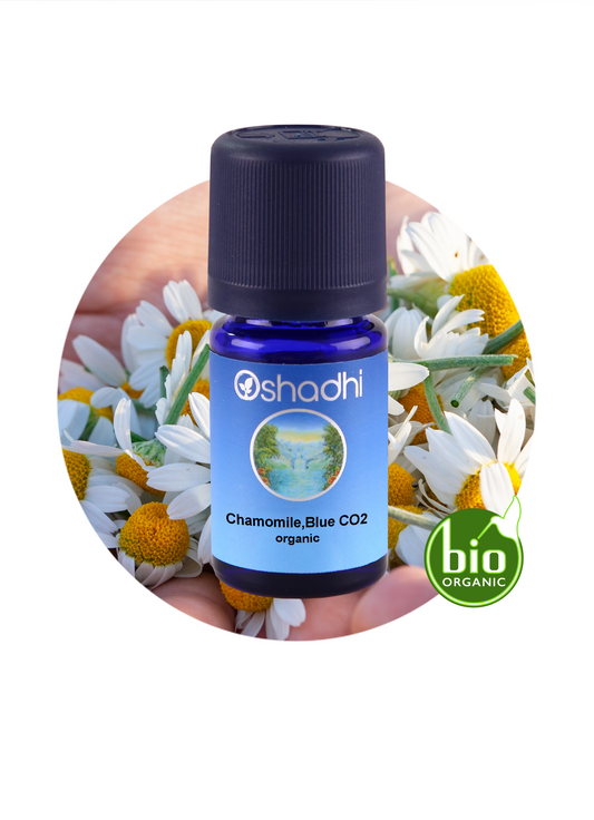 Chamomile, Blue CO2 (Organic)