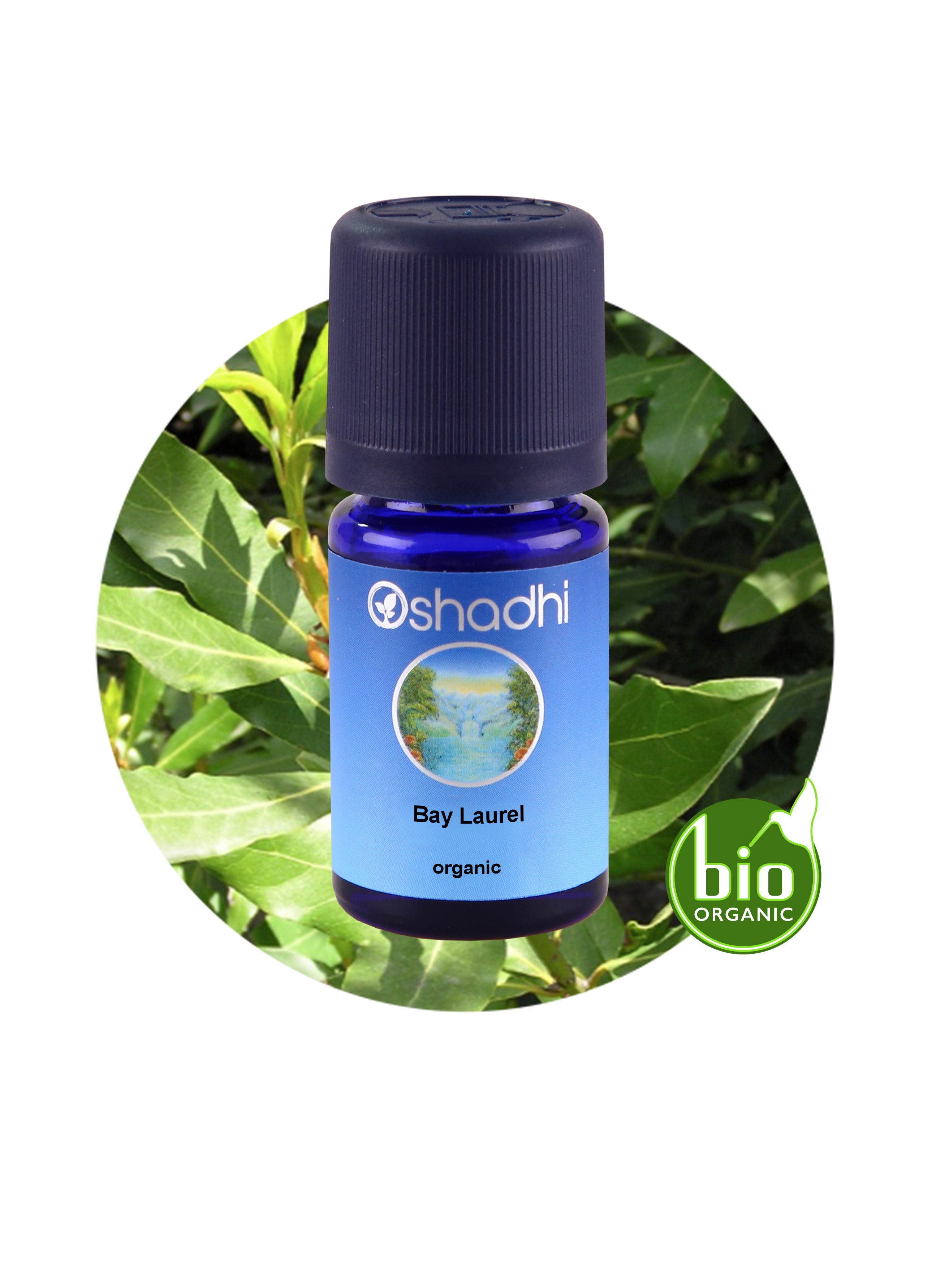 Bay Laurel Organic Essential Oil Aroma – Oshadhi Essential Oils