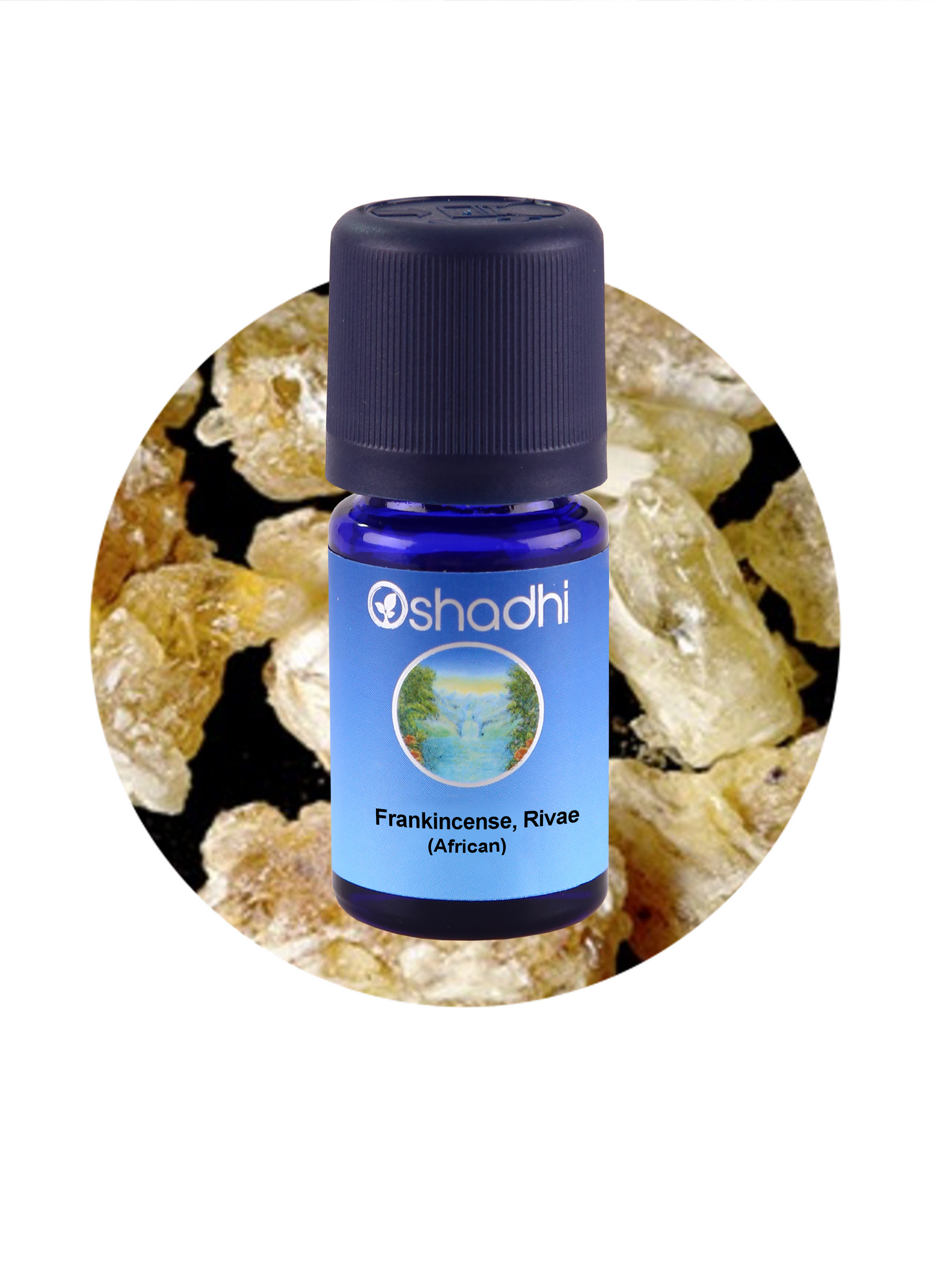Frankincense, Rivae (African)