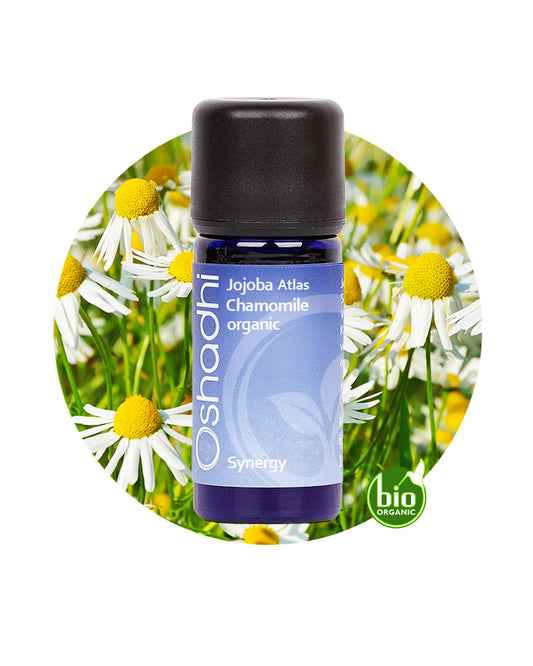 Atlas Chamomile (Blue Tansy) Oil in Jojoba Oil  *Clearance