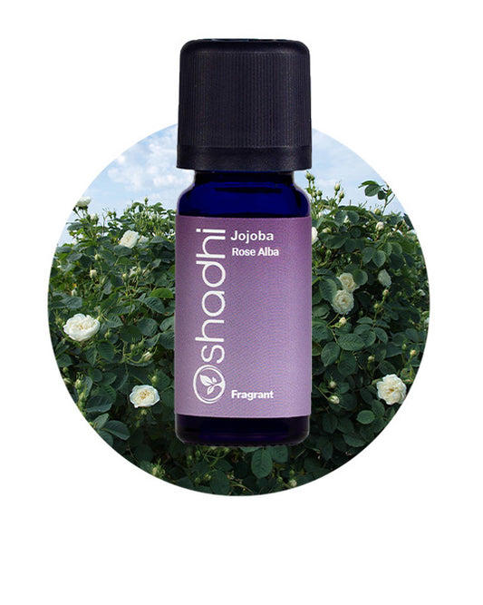 Jojoba Rose Alba Oil