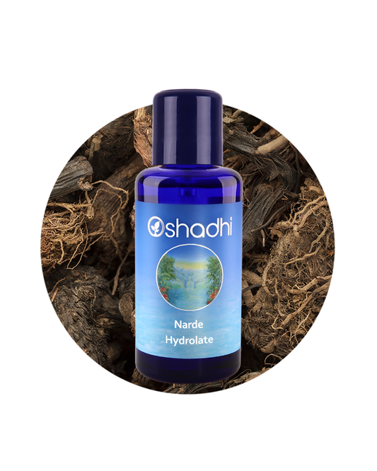 Narde / Spikenard (Organic Hydrosol)