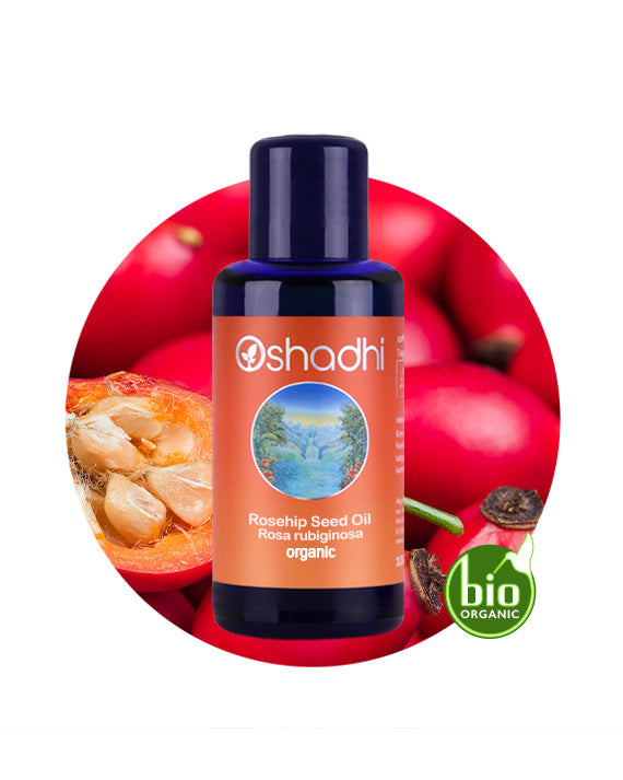 Rosehip Seed Oil / Rosa Rubignosa (Organic)