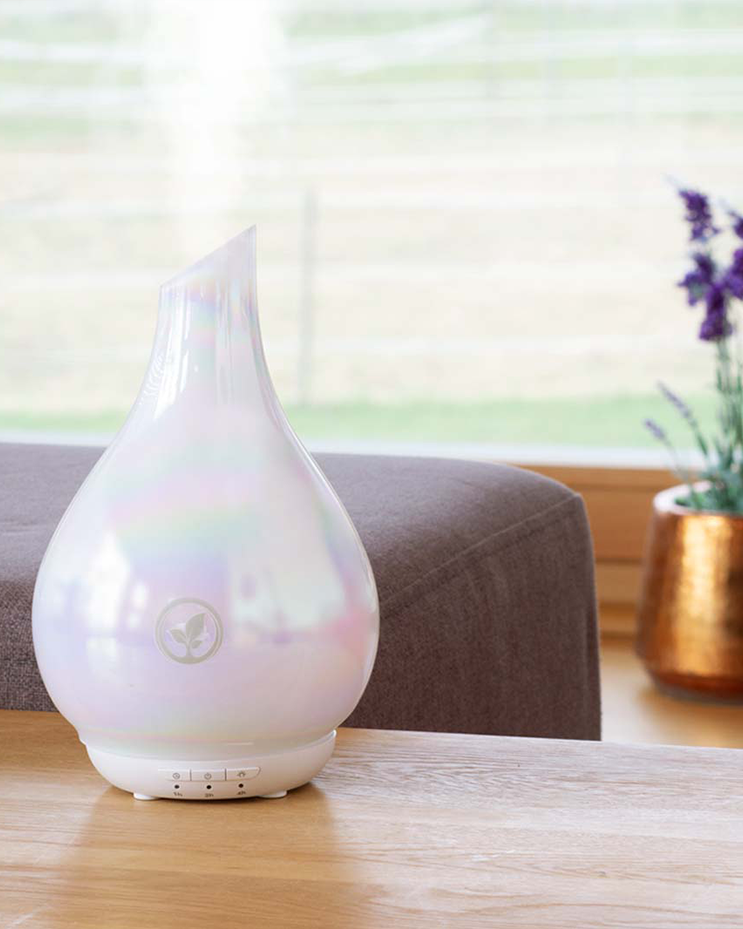 Holiday Cheer Diffuser Set  *Limited Edition*