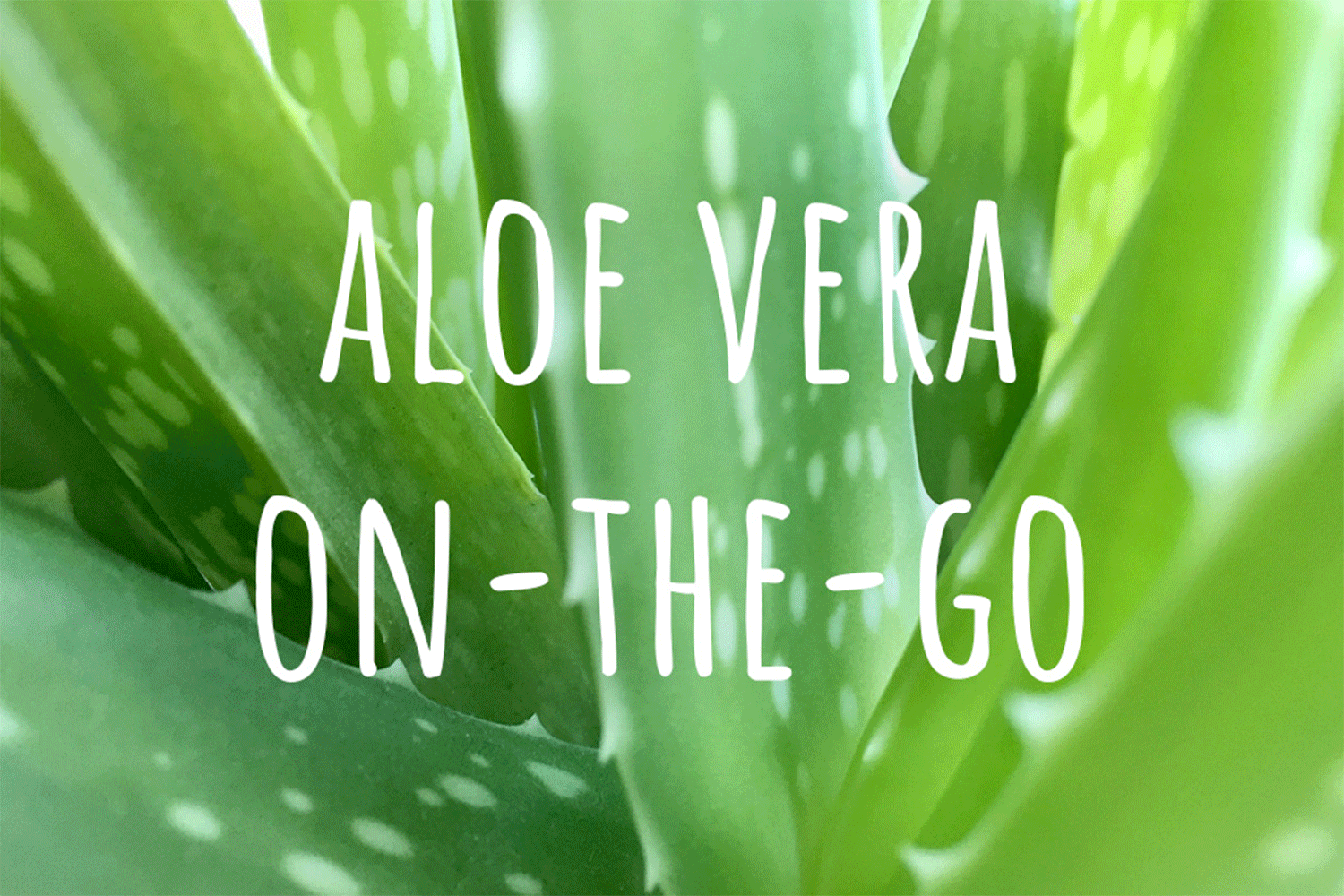 aloe vera plant gif Aloe Vera Gel (organic)