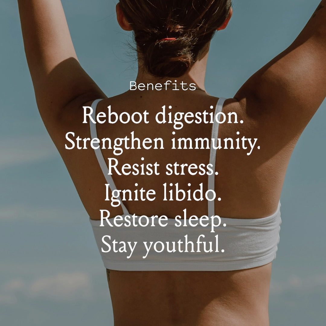 VitalVeda 46 — Mind–Body Rasayana