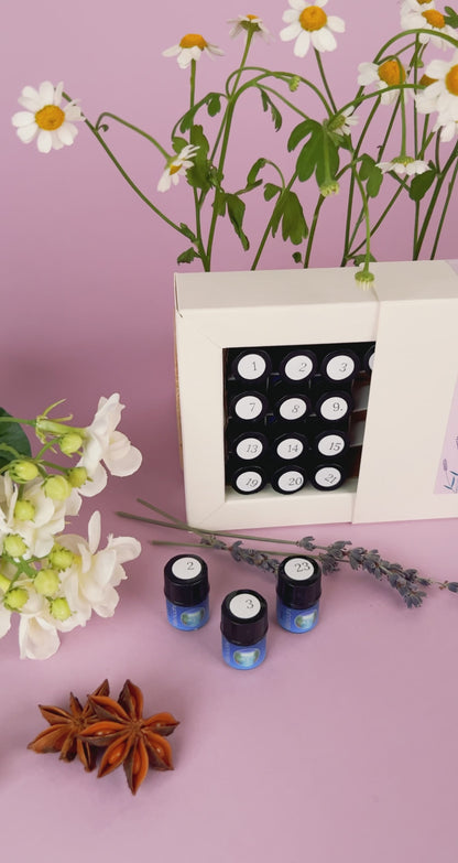 Essential Discovery Box for Set of 24 Essential Oils