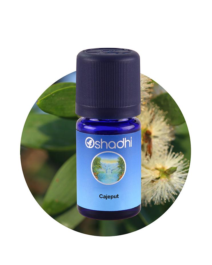 Cajeput Organic Essential Oil Aroma – Oshadhi Essential Oils