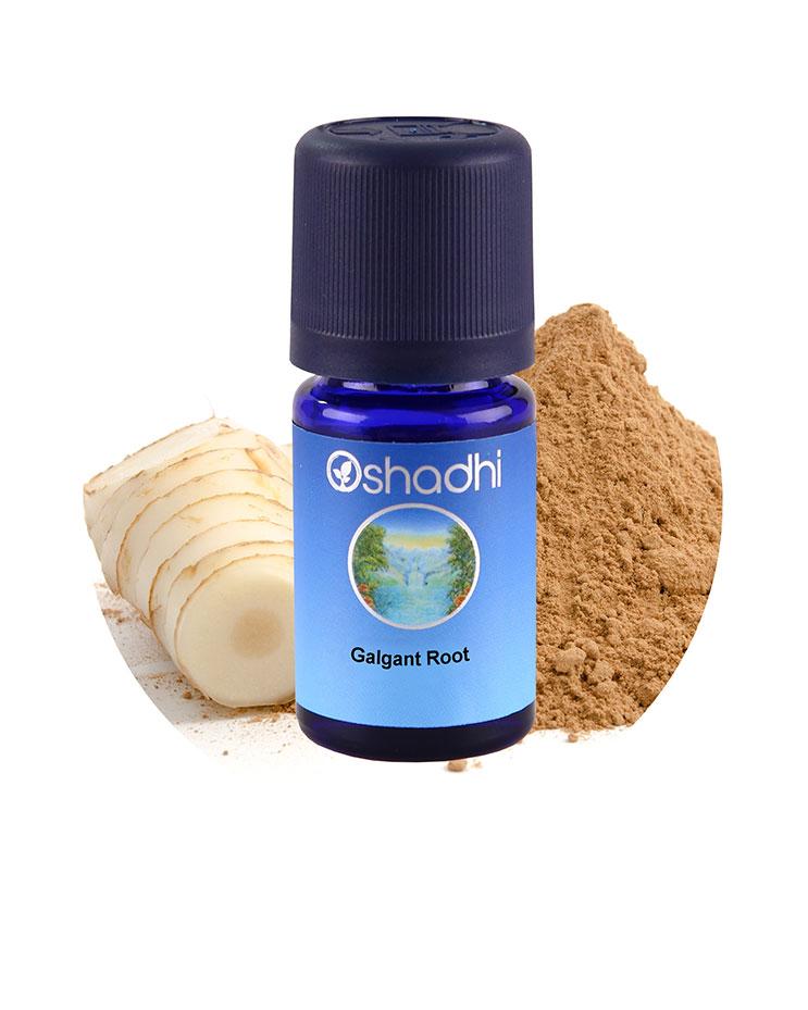 thumbnail image 2 of DR ADORABLE Pure Organic Galangal Root Essential Oil – Aromatherapy Grade – 0.6oz To 32oz 2 of 4