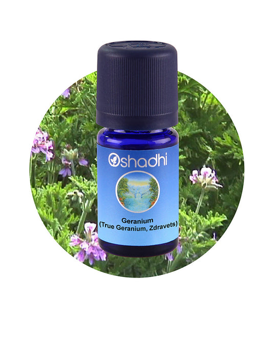 Geranium, True (Geranium, Zdravets)