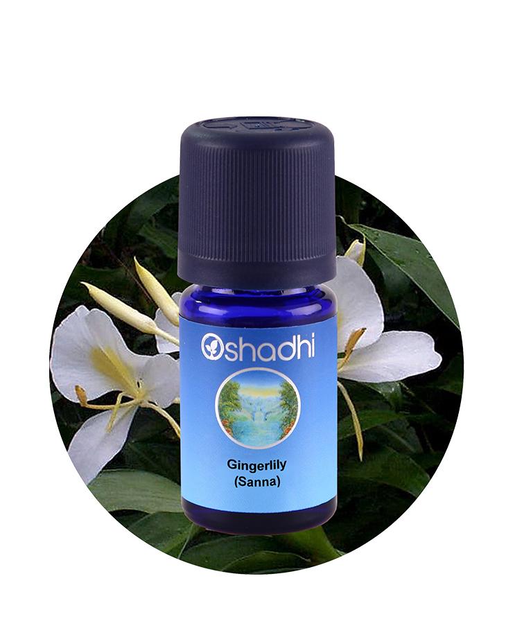 wote精油 ジンジャーリリー ジンジャー・リリー 15ml | Wisdom of the