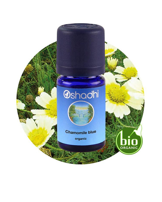 Chamomile, Blue (organic)